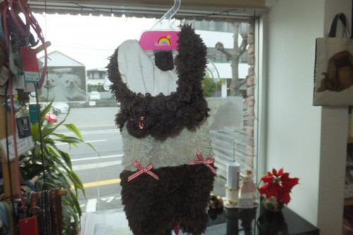犬服　ペットショップ　徳島県　徳島市　ペキファーム　Peki Farm