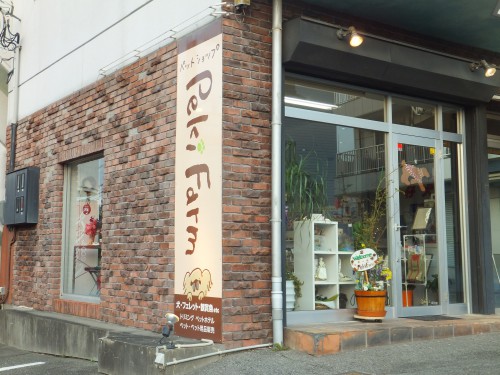 Peki Farm　ペキファーム　ペットショップ　トリミング　愛犬美容室　徳島　犬の美容室